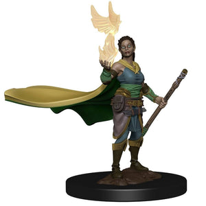 WizKids Icons of The Realms: Elf Female Druid