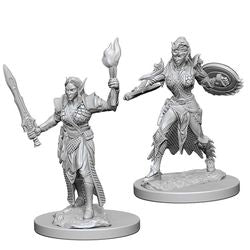 WizKids Deep Cuts: Elf Female Fighter -W1