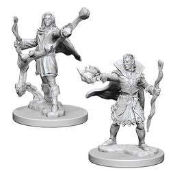 WizKids Deep Cuts: Elf Male Sorcerer -W1