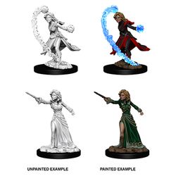 WizKids Deep Cuts: Female Human Wizard - W6