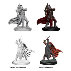 WizKids Deep Cuts: Female Knights/Gray Maidens - W6