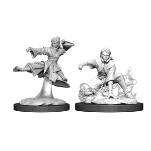 WizKids Nolzur's Marvelous: Human Female Monk - W11