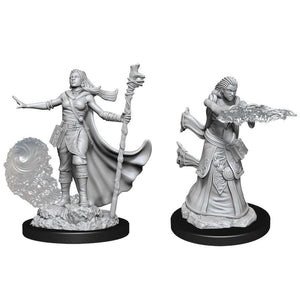 WizKids Nolzur's Marvelous: Human Female Wizard - W11