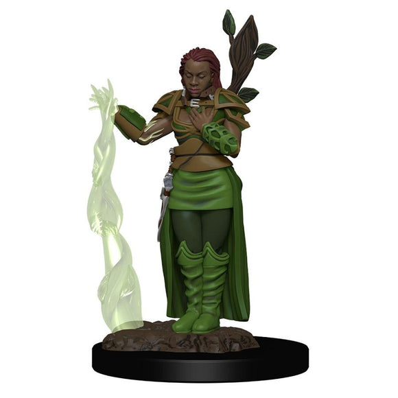 WizKids Icons of The Realms: Human Druid