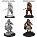 WizKids Deep Cuts: Pirates